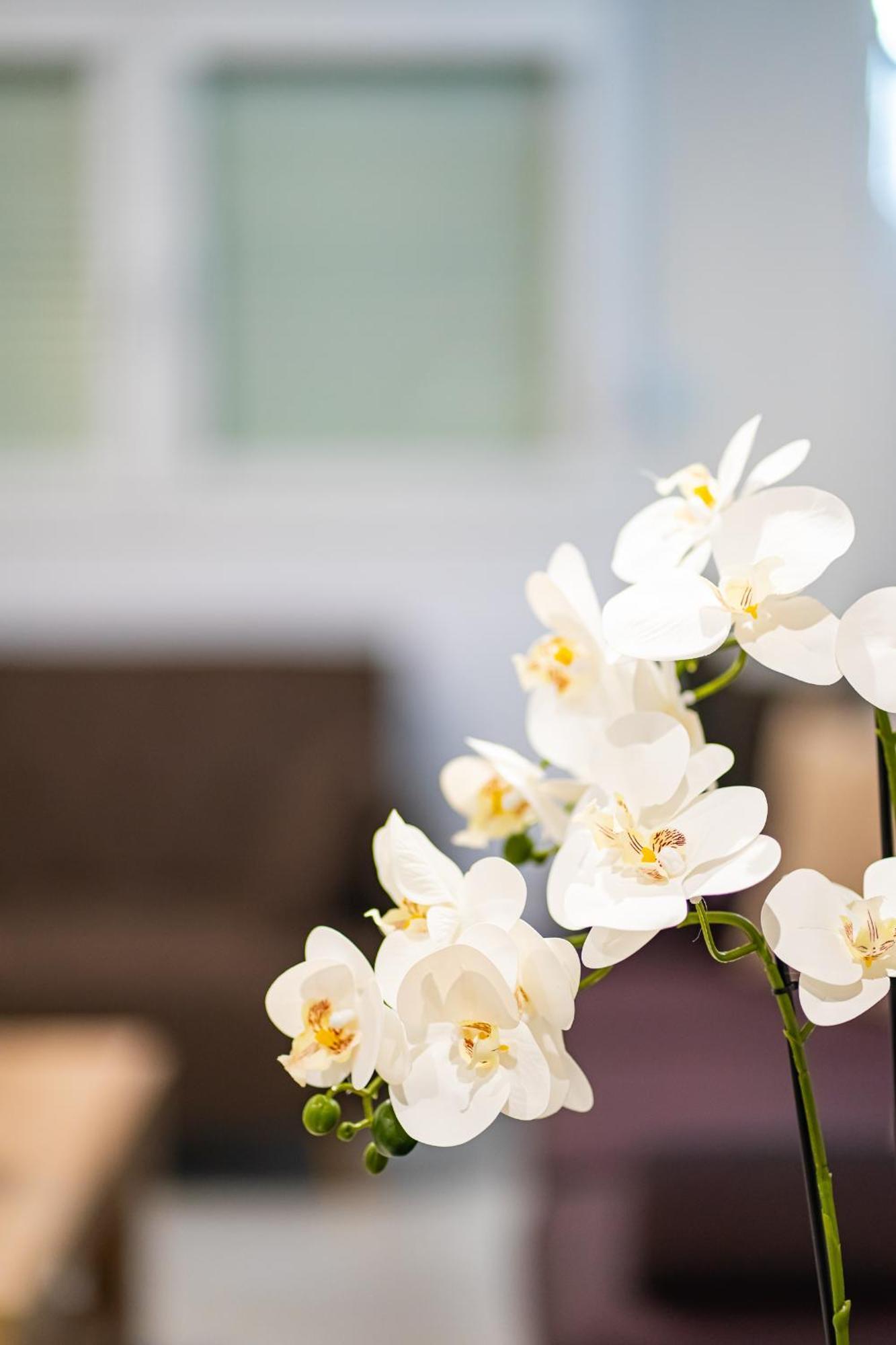 Feel Greek Hospitality #Θ005 Apartment Tesalonika Bagian luar foto